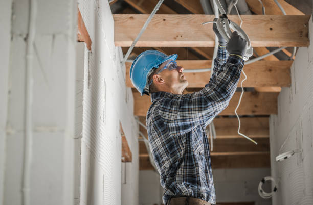 Best Ceiling Fan Installation Electrician  in Bear Creek, AK