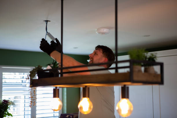 Best Electric Panel Repair  in Bear Creek, AK